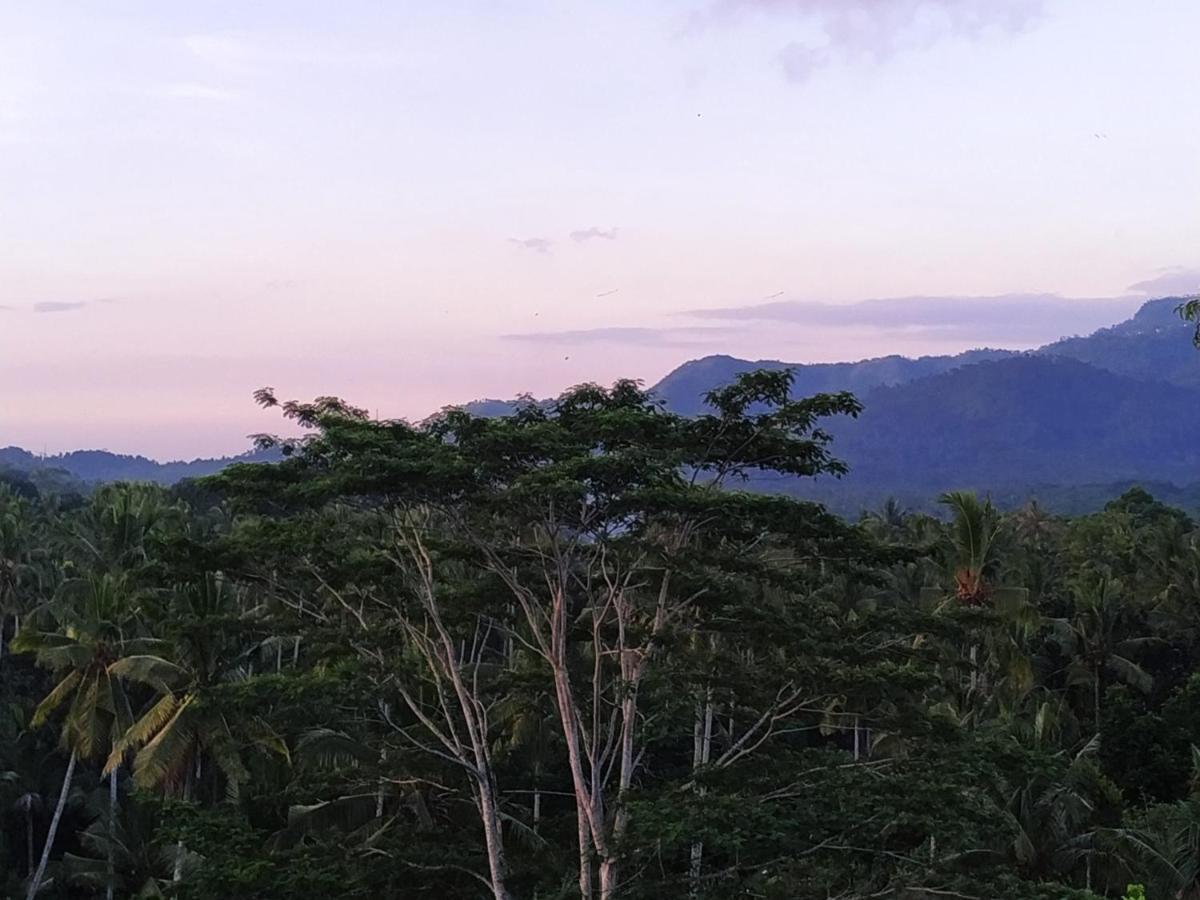 ホテル Palmterrace Chulik エクステリア 写真