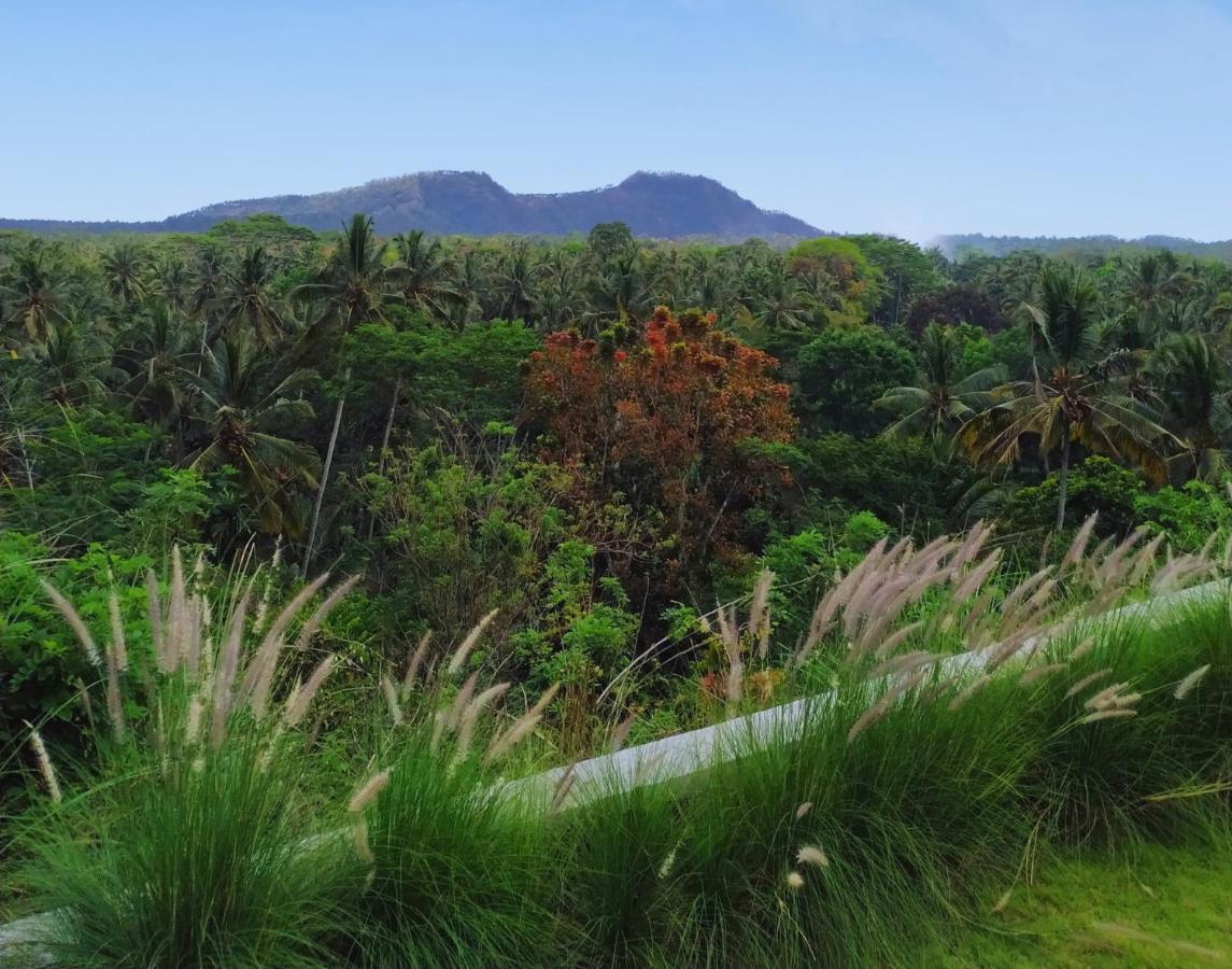 ホテル Palmterrace Chulik エクステリア 写真